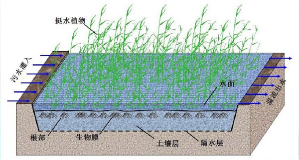 我国认证认可检验检测2025年度统计数据发布